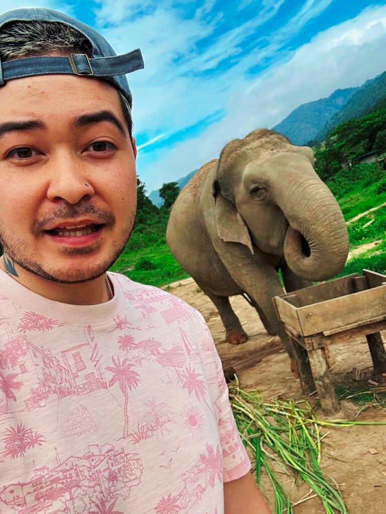 selfie with rescued elephants chiang mai thailand