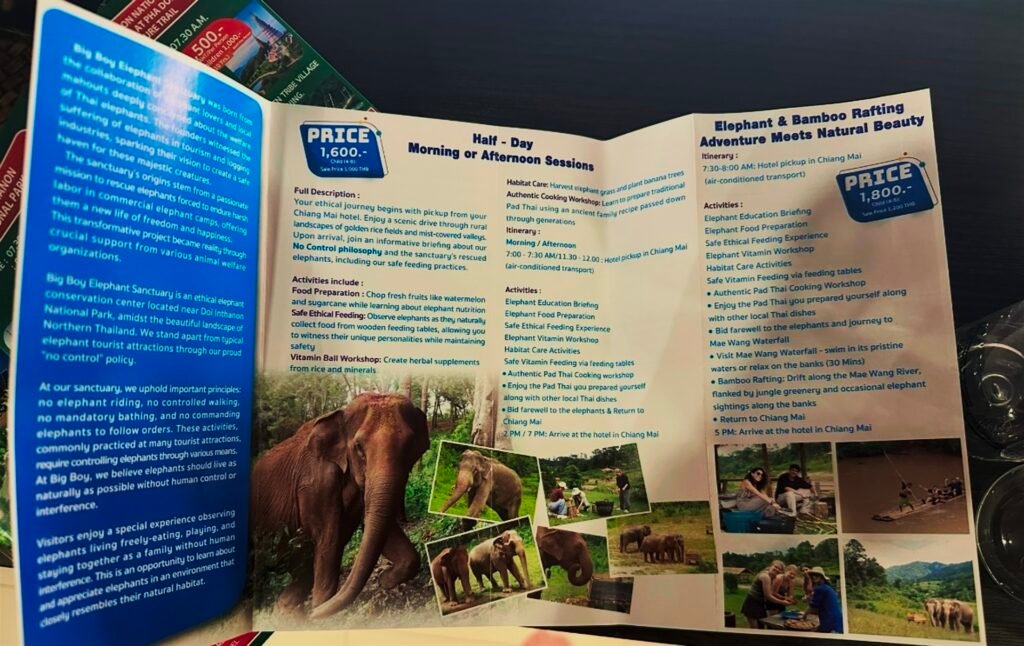 Big Boy Elephant Sanctuary Leaflet